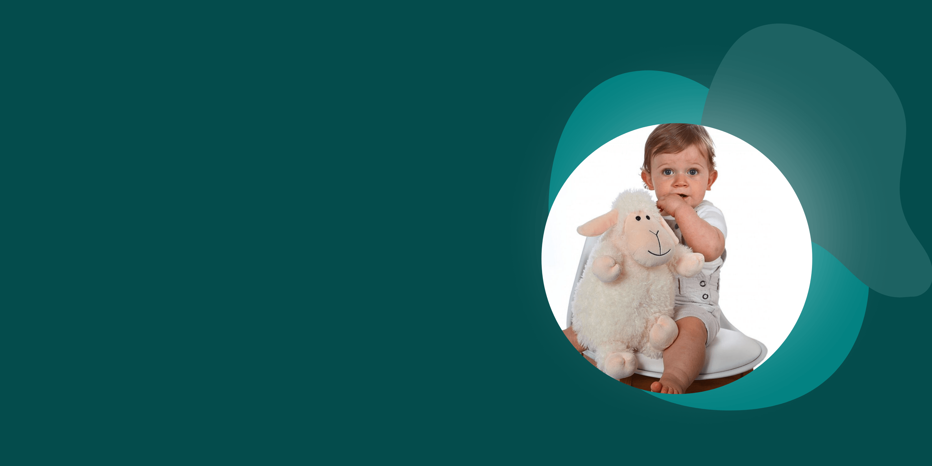 Animale domestice de plus - Nitzi.ro