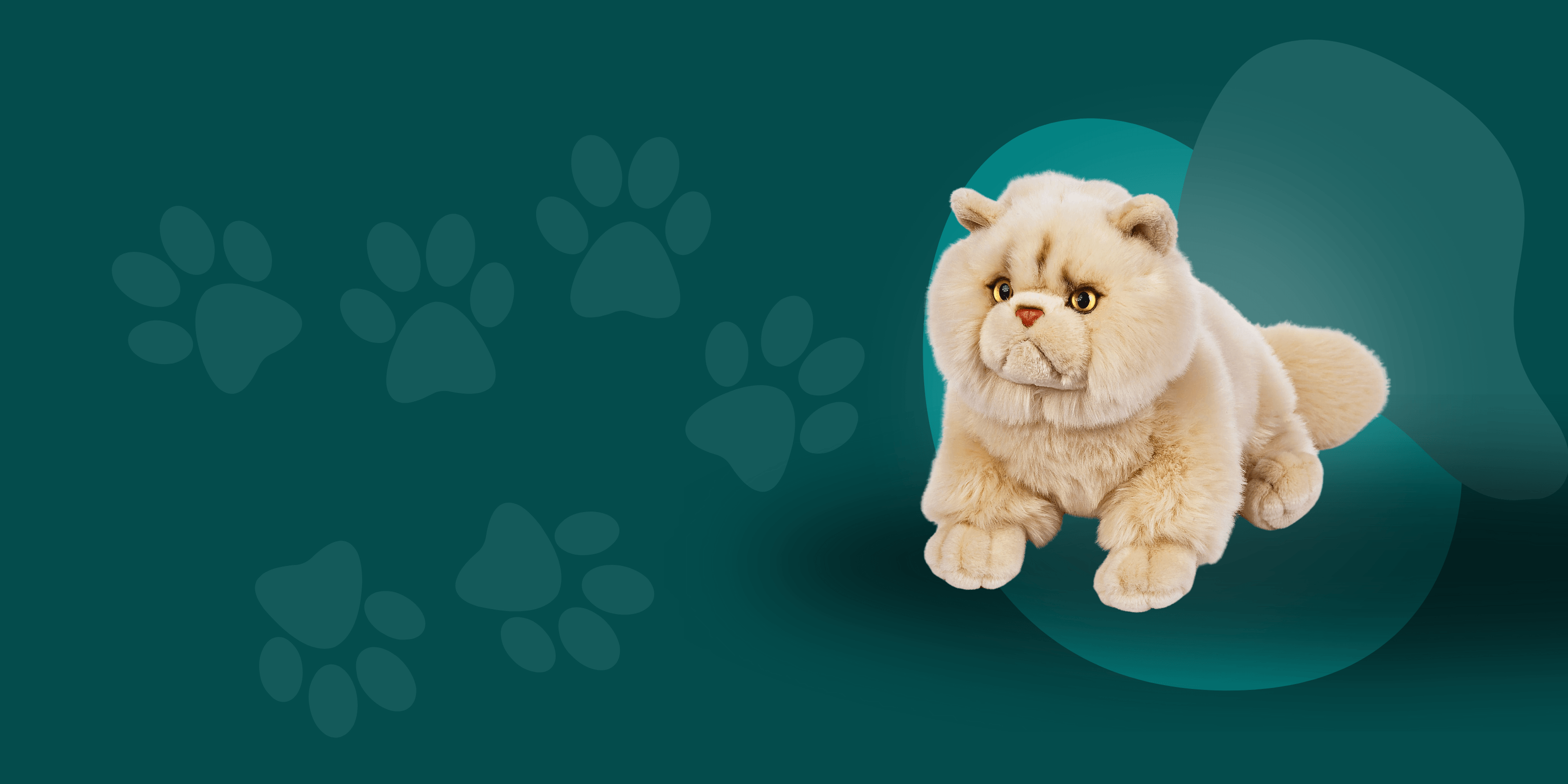 Pisici de plus - Nitzi.ro