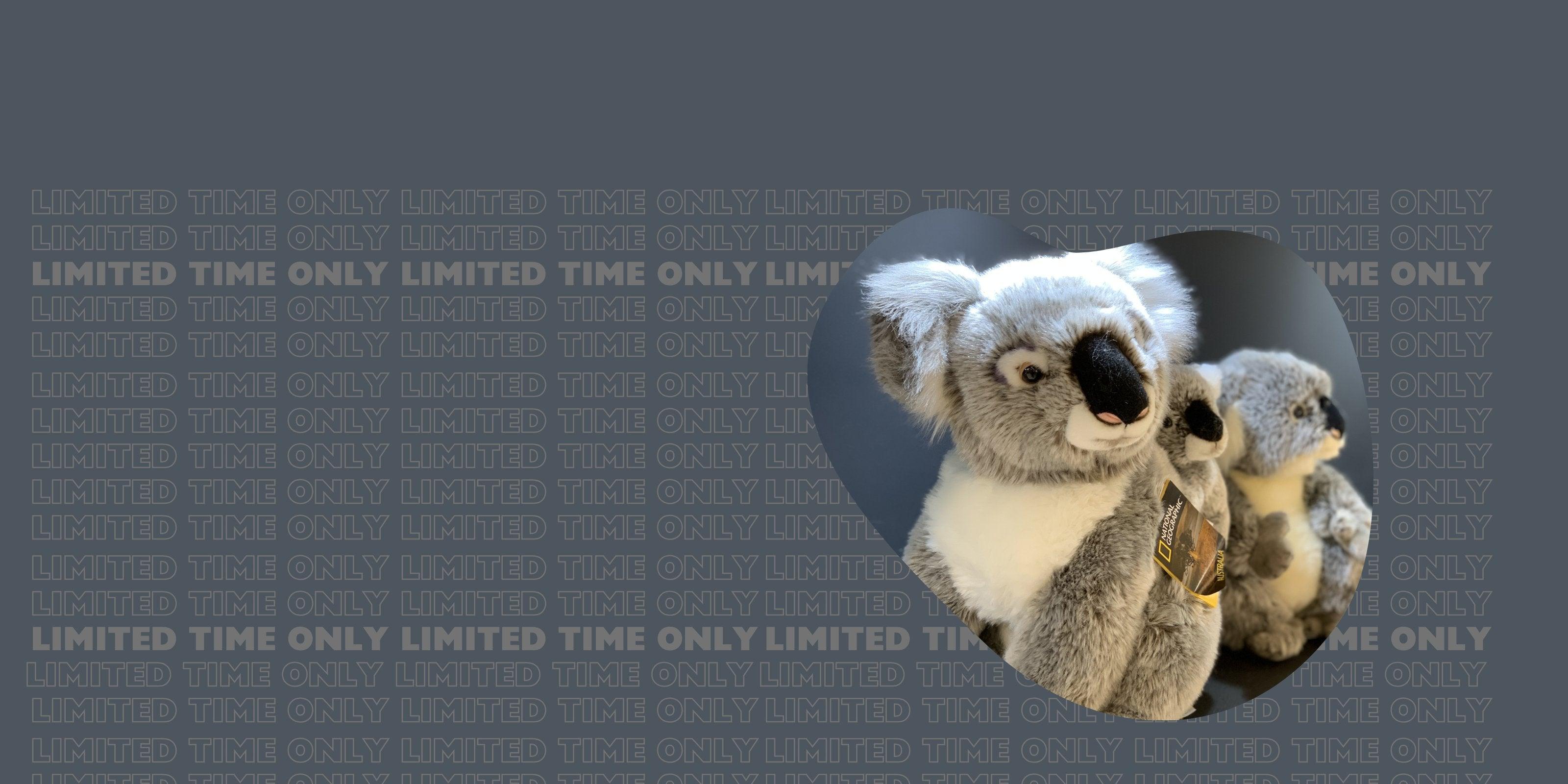 Jucarii de plus - Nitzi.ro