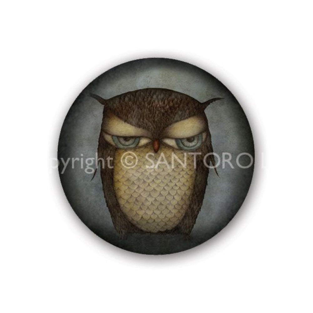 Set 3 insigne Grumpy Owl