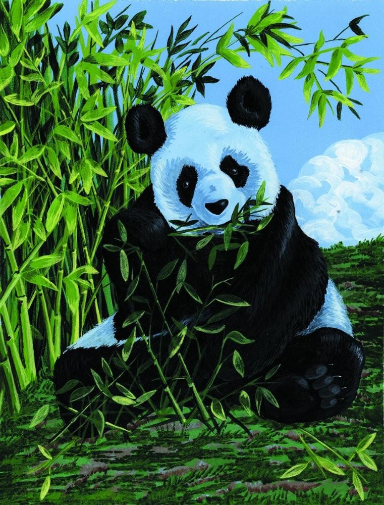 Pictura pe panza - Panda