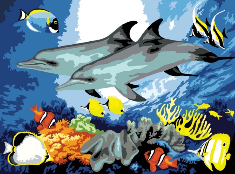 Pictura pe numere juniori - Delfini