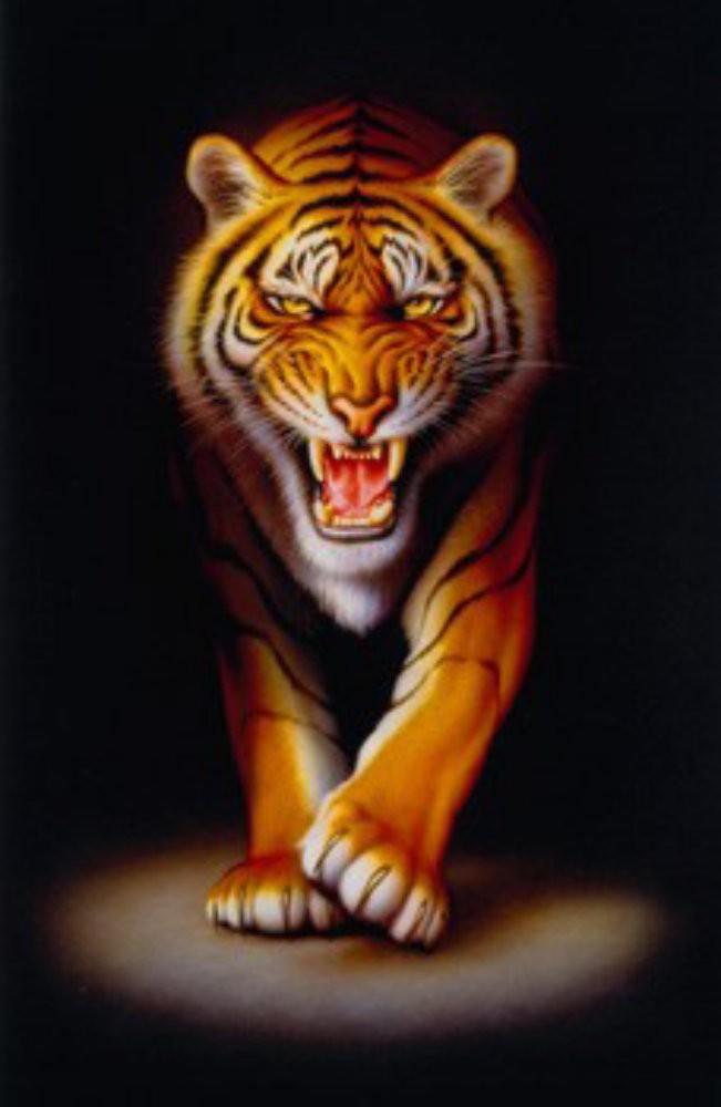 Puzzle Tigru 500 piese