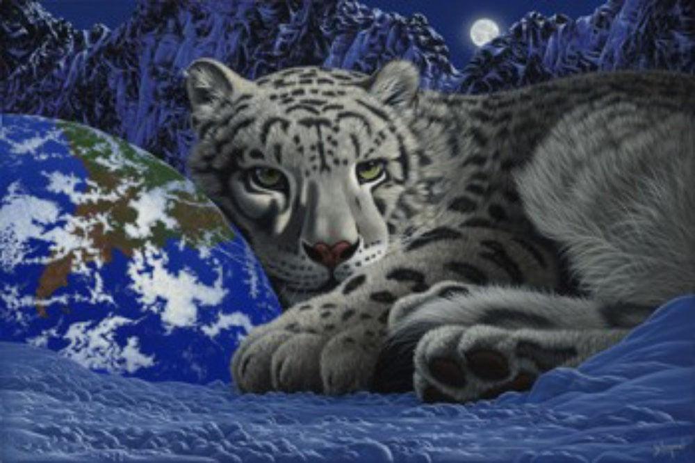 Puzzle Schimmel Casa mea Terra 1000 piese - Nitzi.ro