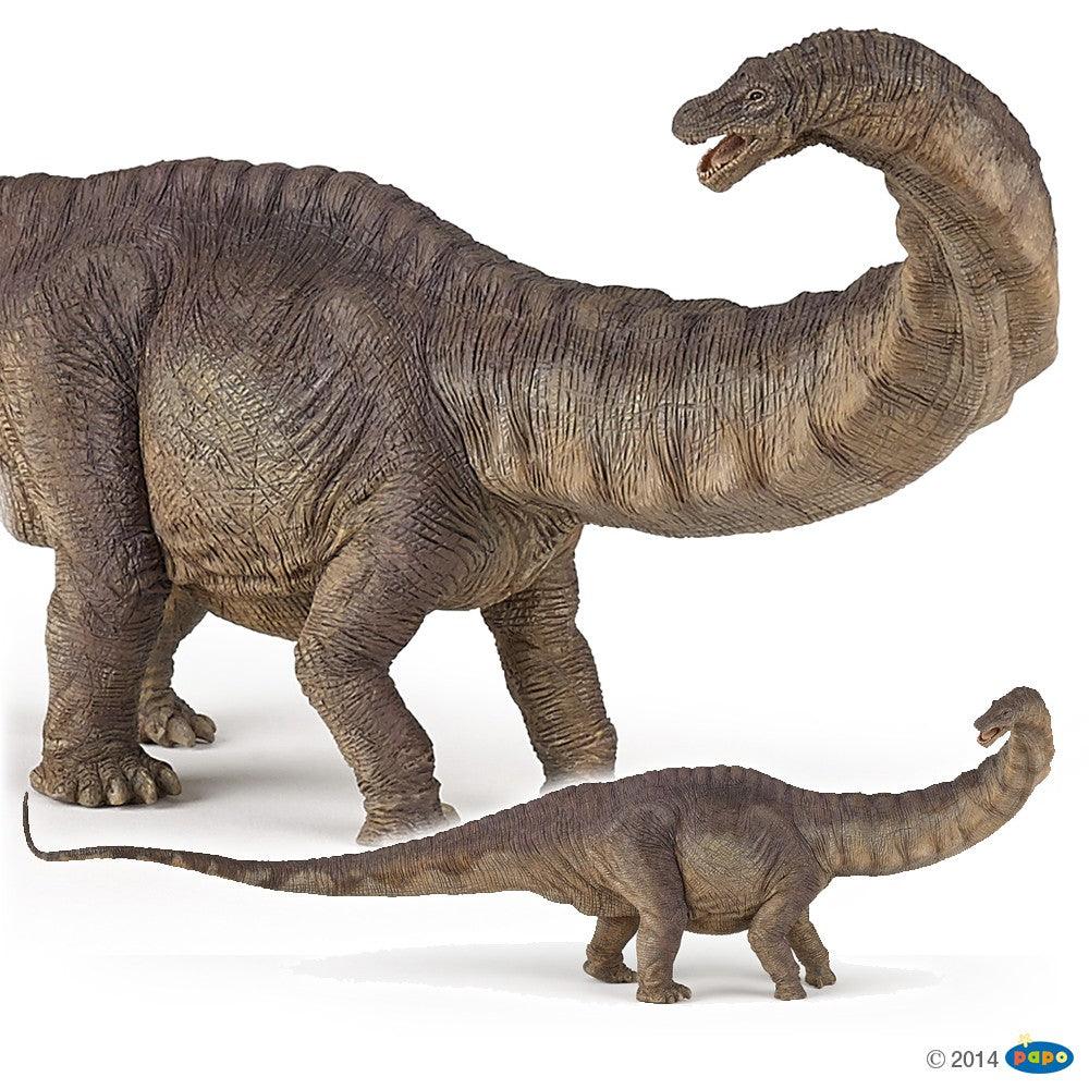 Apatosaurus Dinozaur - Figurina pictata manual - Nitzi.ro