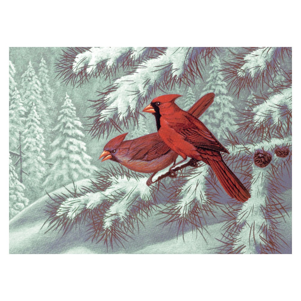 Pictura pe nr avansati mare-Pasarele Cardinalidae 32x40 cm