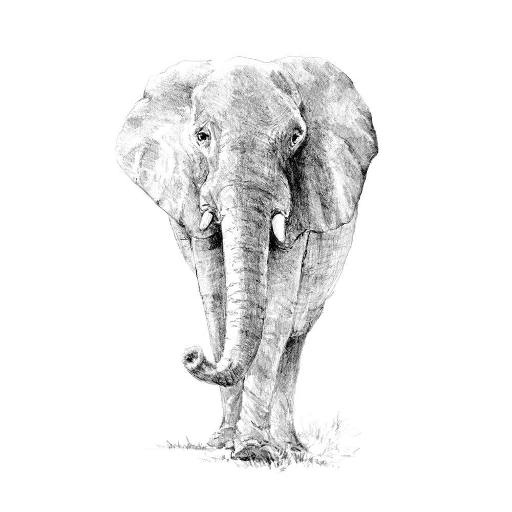 Crochiu incepatori-Elefant 22x29 cm - Nitzi.ro
