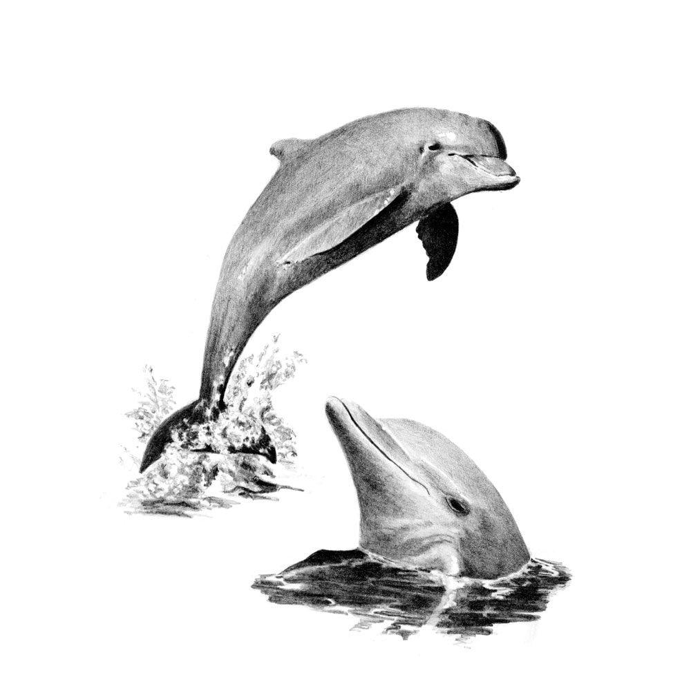 Crochiu incepatori-Delfini 22x29 cm - Nitzi.ro