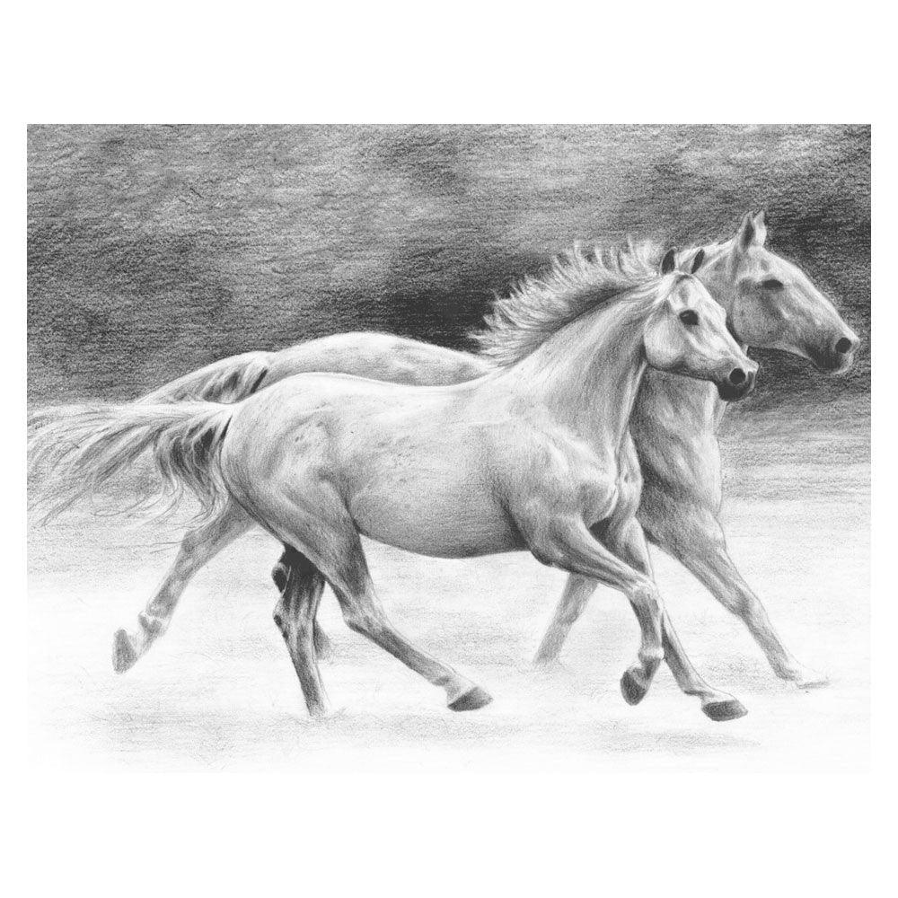 Crochiu incepatori-Cai liberi 22x29 cm - Nitzi.ro