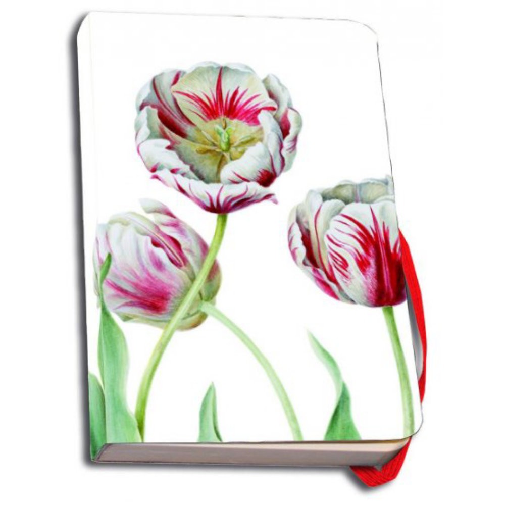 Carnet notite 112 pagini banda elastic Tulipa 'Teyler', Anita Walsmit Sach