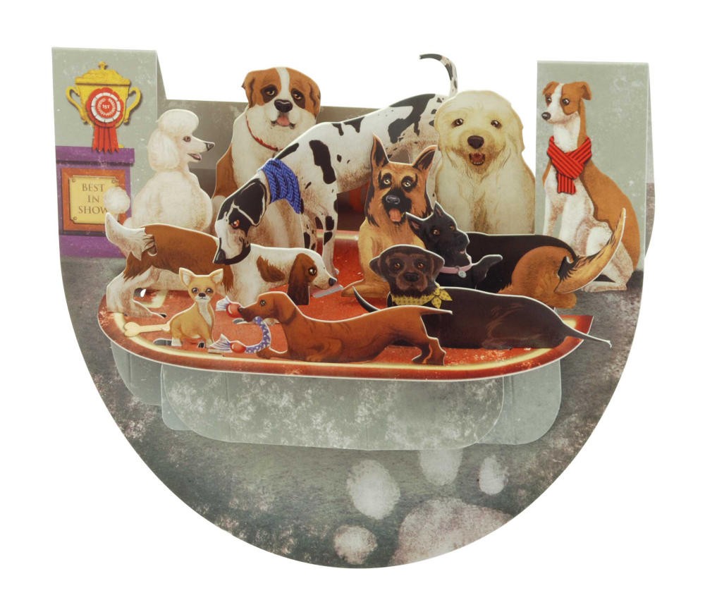 Felicitare 3D PopnRock - Concurs canin