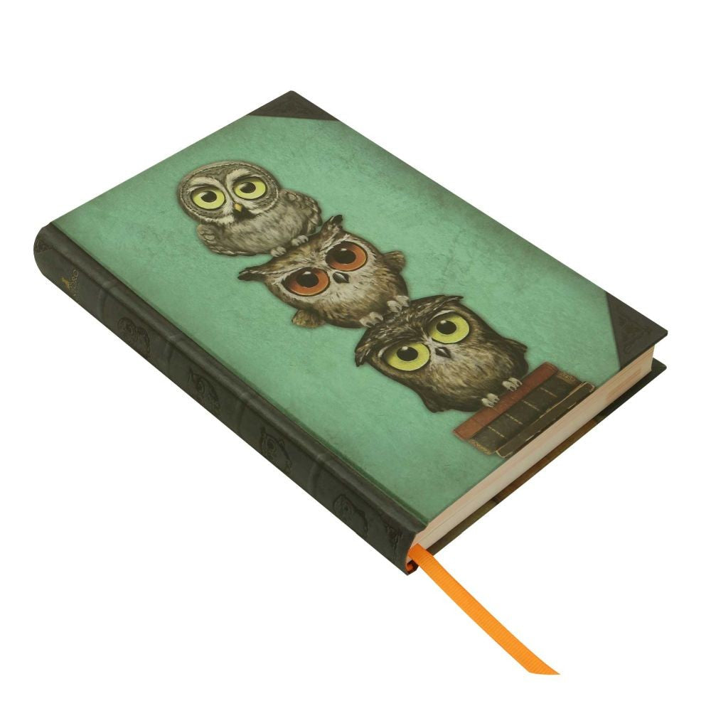 Grumpy Owl Agenda coperti tari