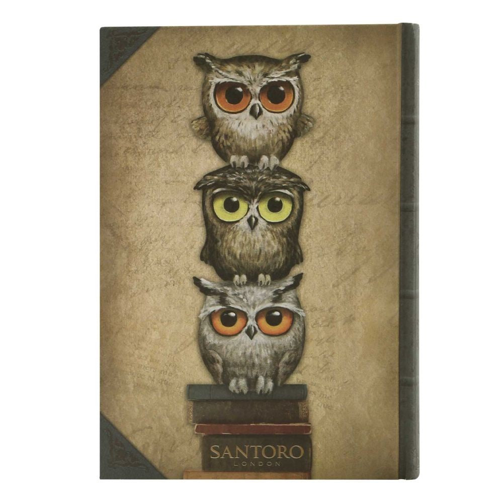 Grumpy Owl Agenda coperti tari