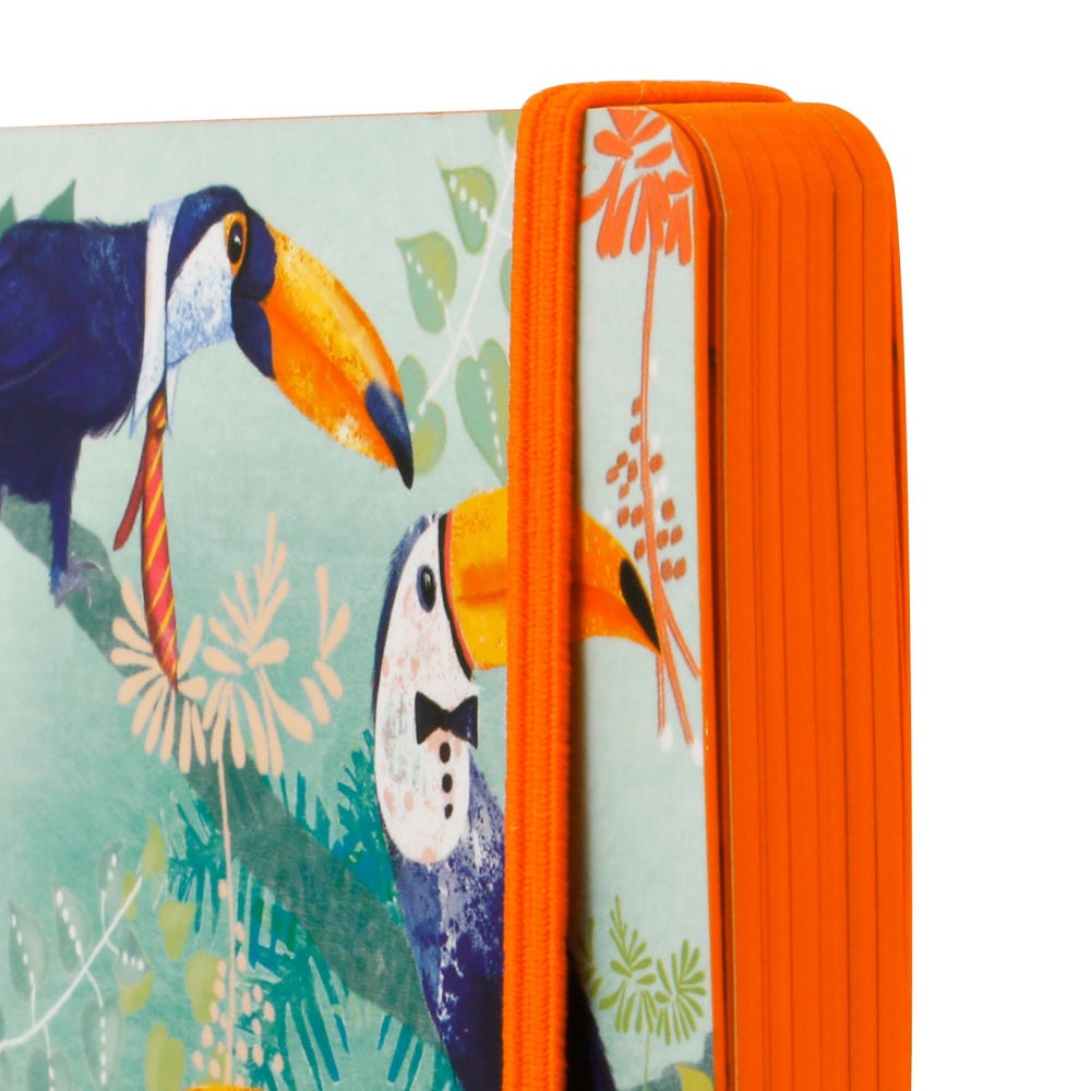 Carnetel A6 Santoro - Toucans
