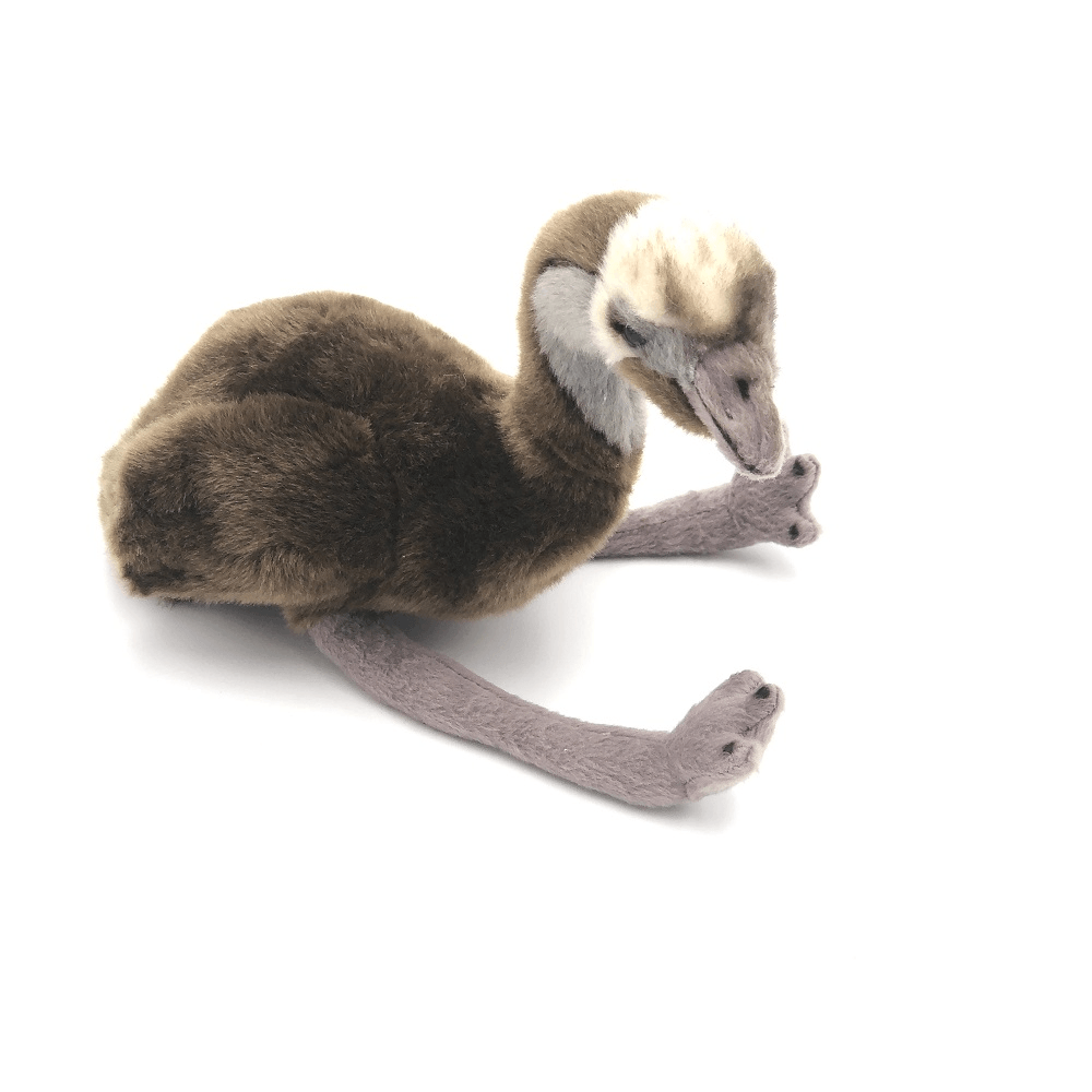 Jucarie din plus National Geographic Animal din Australia - Nitzi.ro