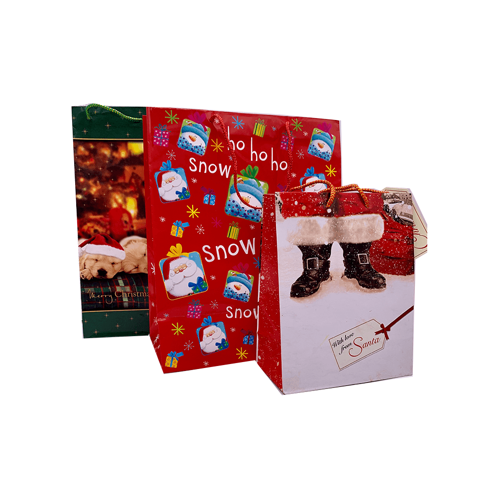 Pungi iarnă pentru ambalare cadouri, în dimensiuni crescătoare