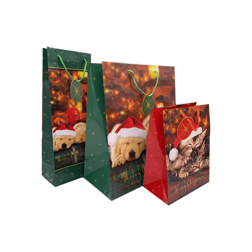 Set 3 pungi pentru cadou de iarna