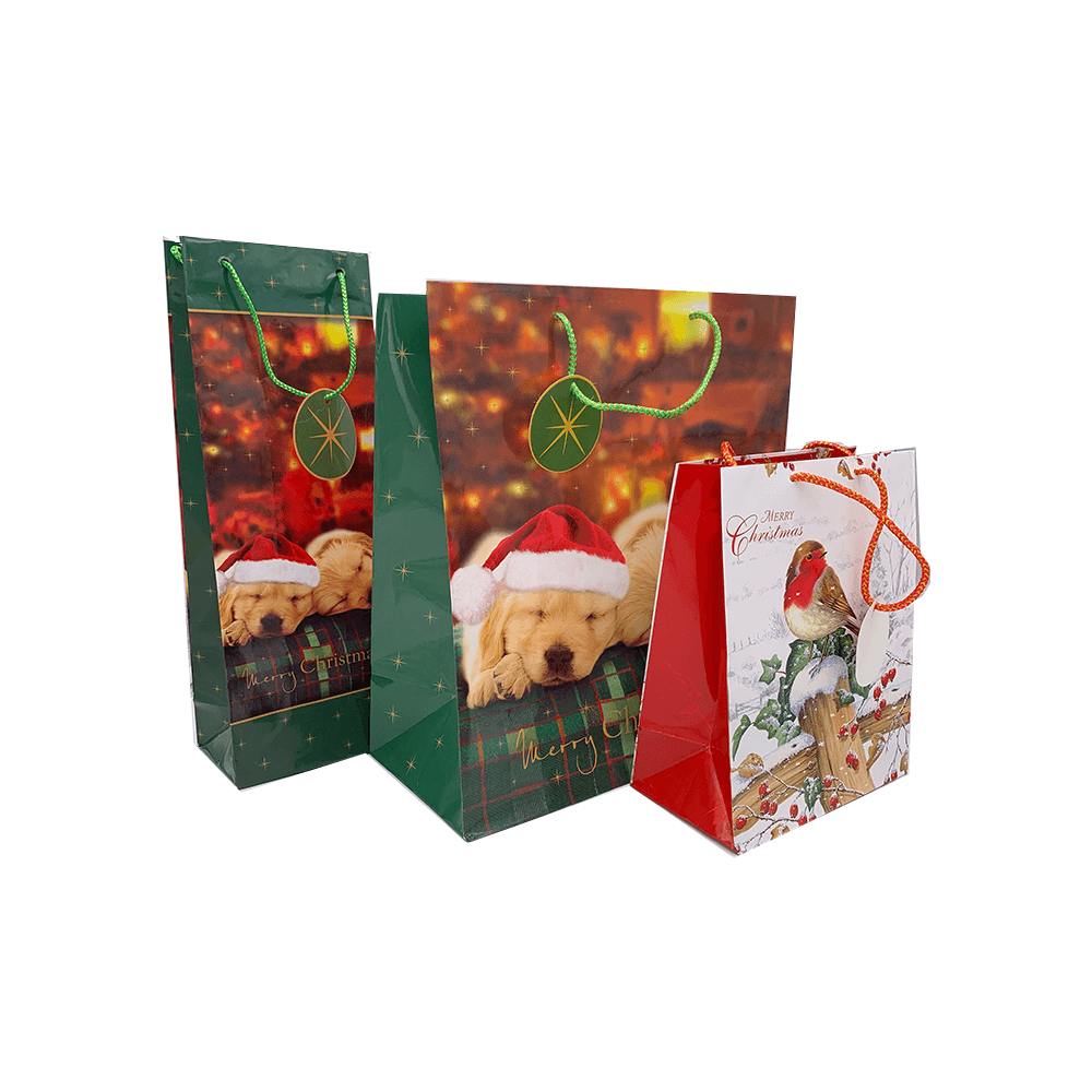 Set pungi pentru cadouri de Crăciun, cu modele de iarnă și culori festive