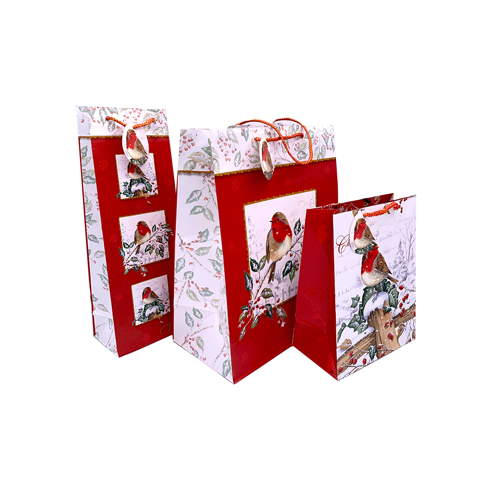Set 3 pungi pentru cadou de iarna