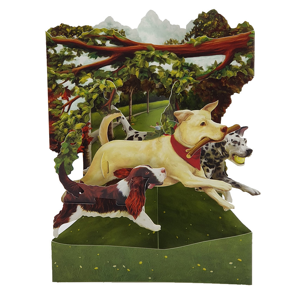 Felicitare 3D Swing Cards - Caini in parc