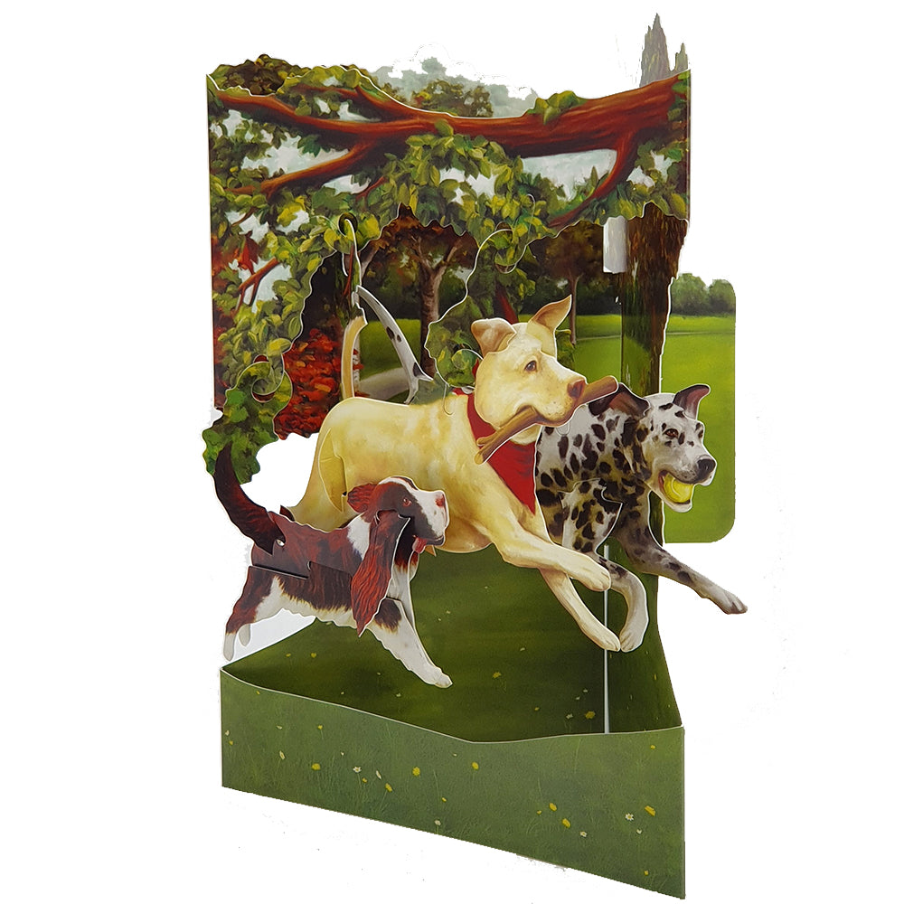 Felicitare 3D Swing Cards - Caini in parc