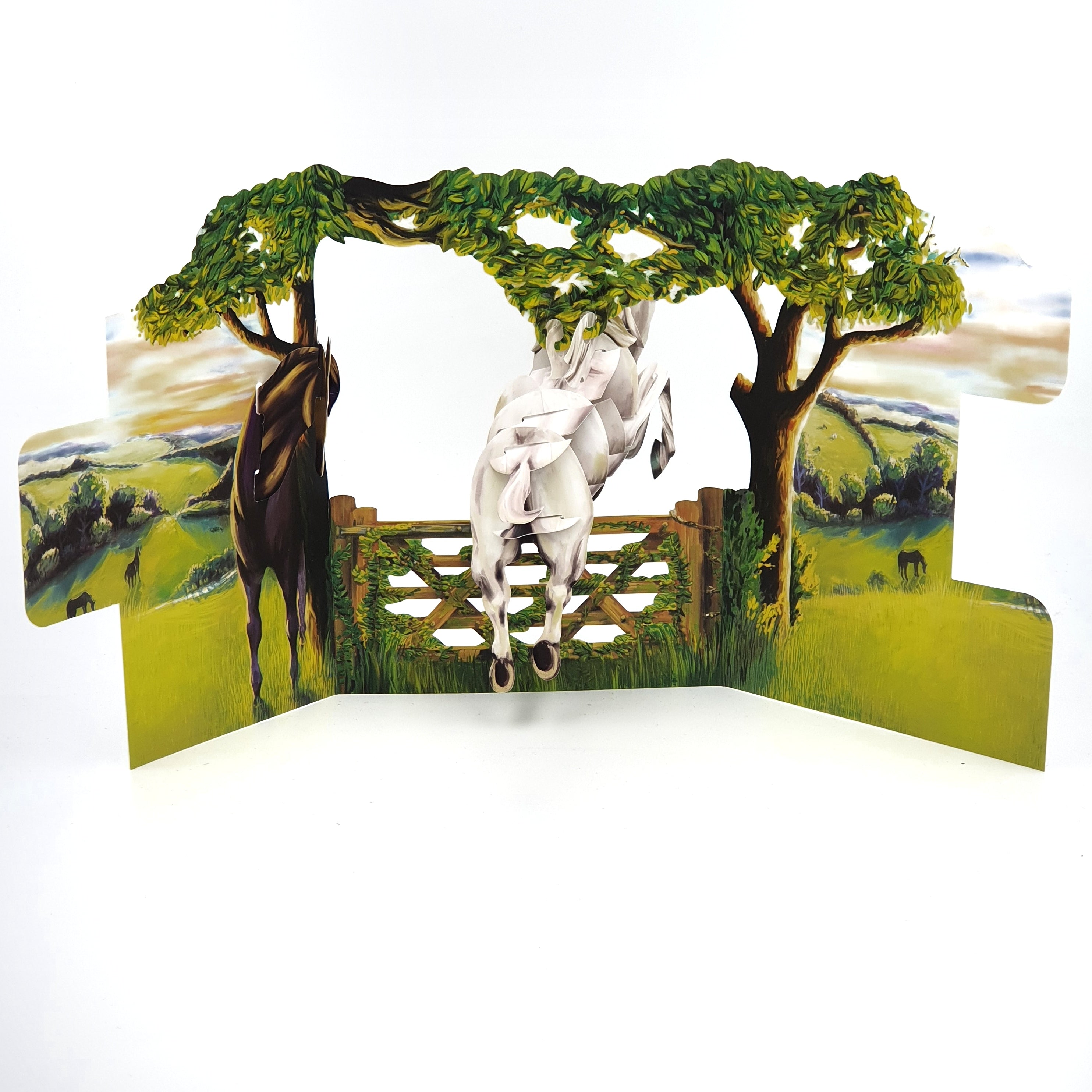 Felicitare 3D Swing Cards Echitatie in aer liber
