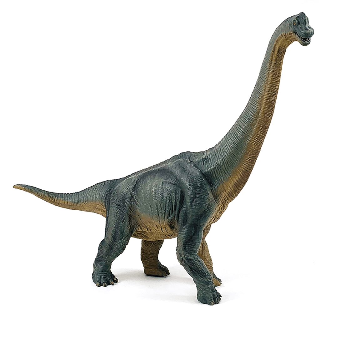 Figurina Brachiosaurus Dinozaur - Nitzi.ro