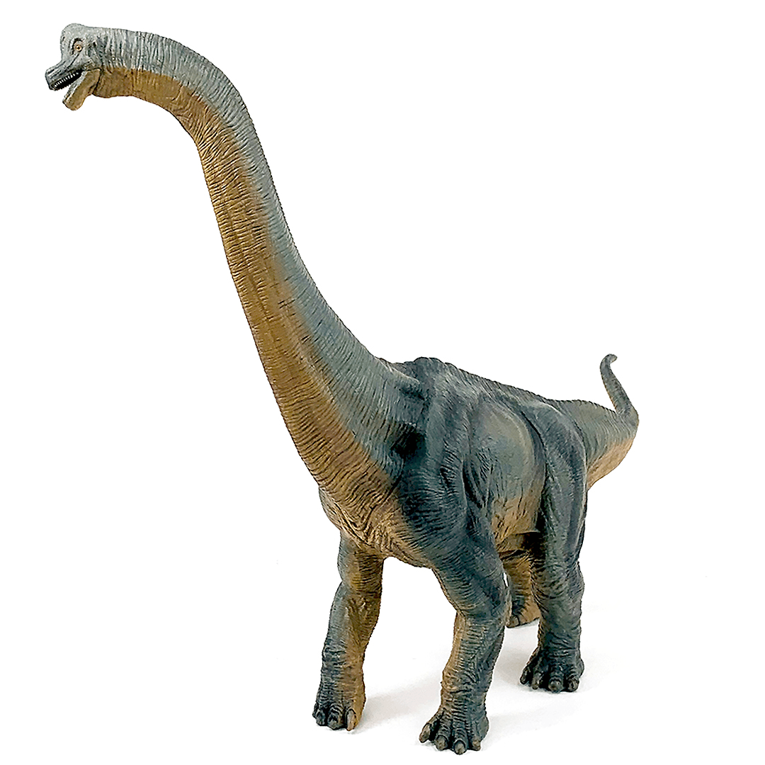 Figurina Brachiosaurus Dinozaur - Nitzi.ro