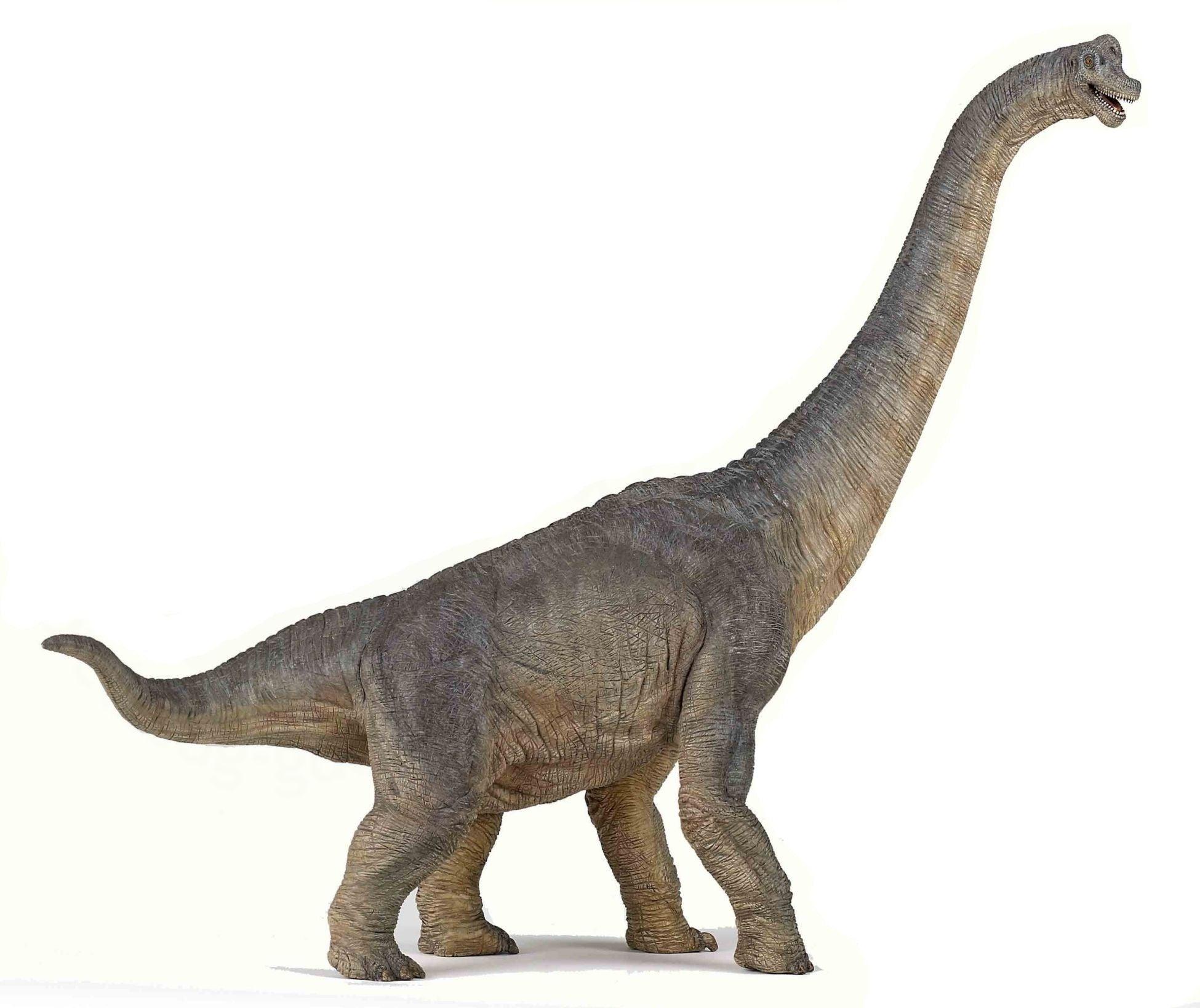 Figurina Brachiosaurus Dinozaur - Nitzi.ro