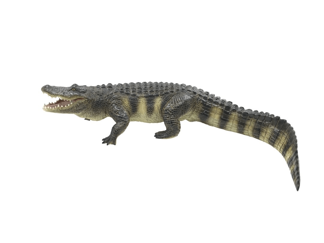Figurina Aligator 50 cm - Nitzi.ro