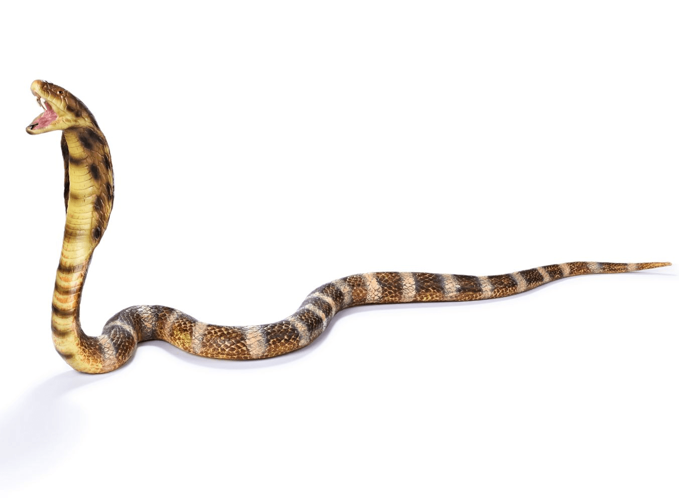 Figurina Cobra 125 cm - Nitzi.ro