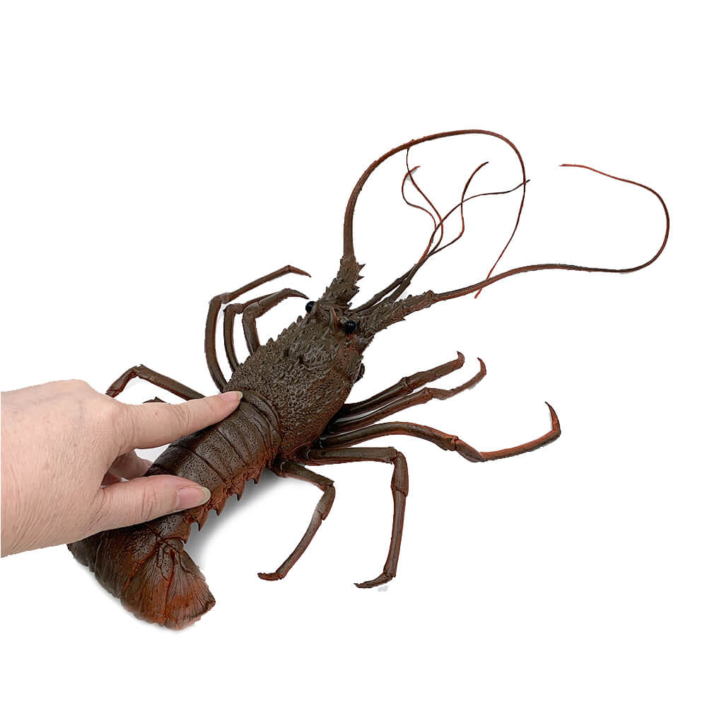 Homar figurina 40 cm