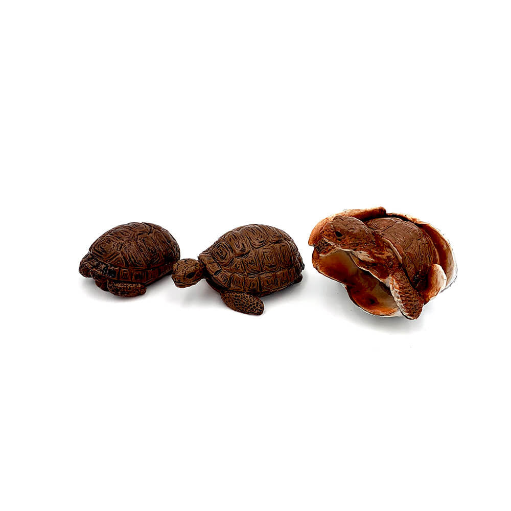 Broasca testoasa pui set 3 figurine