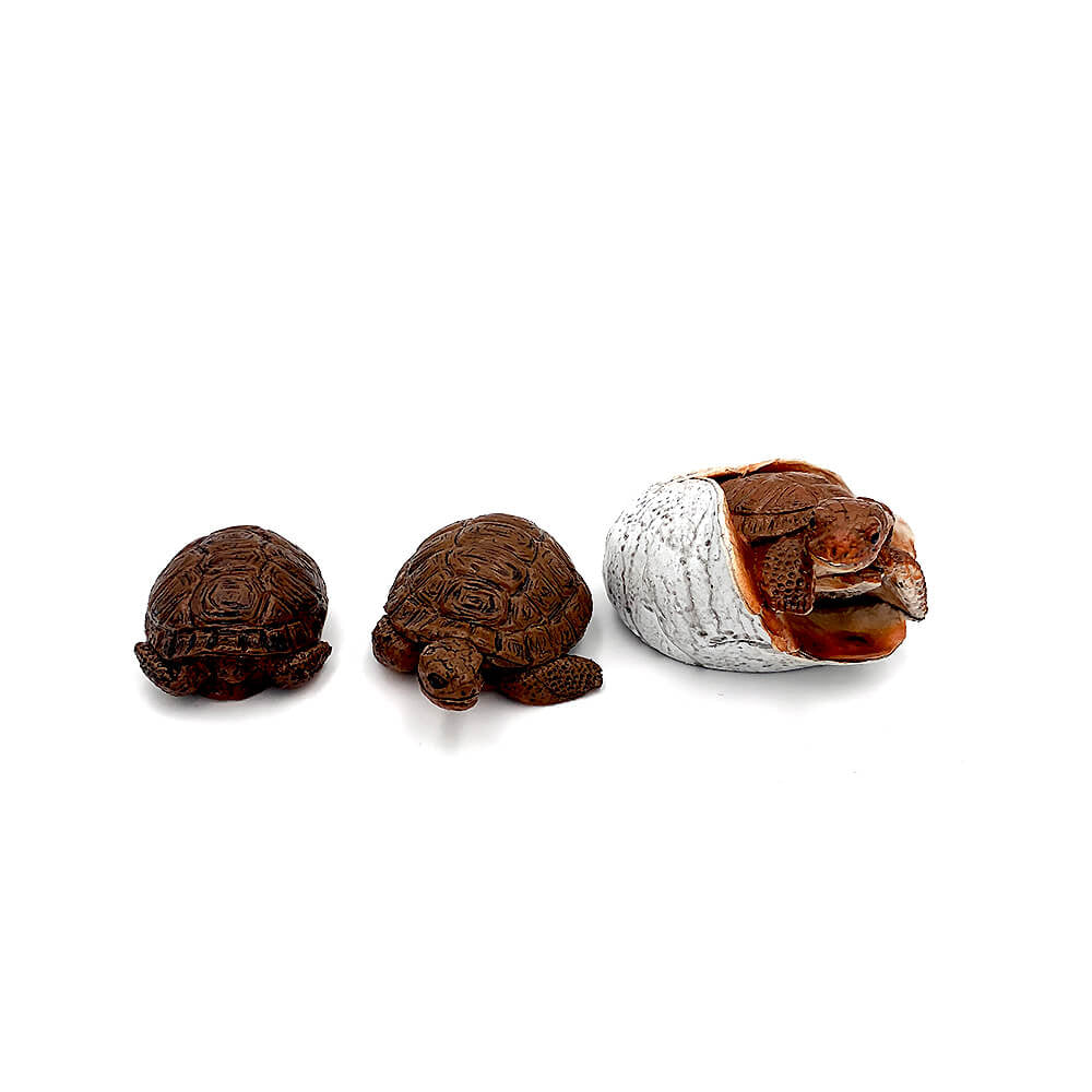 Broasca testoasa pui set 3 figurine