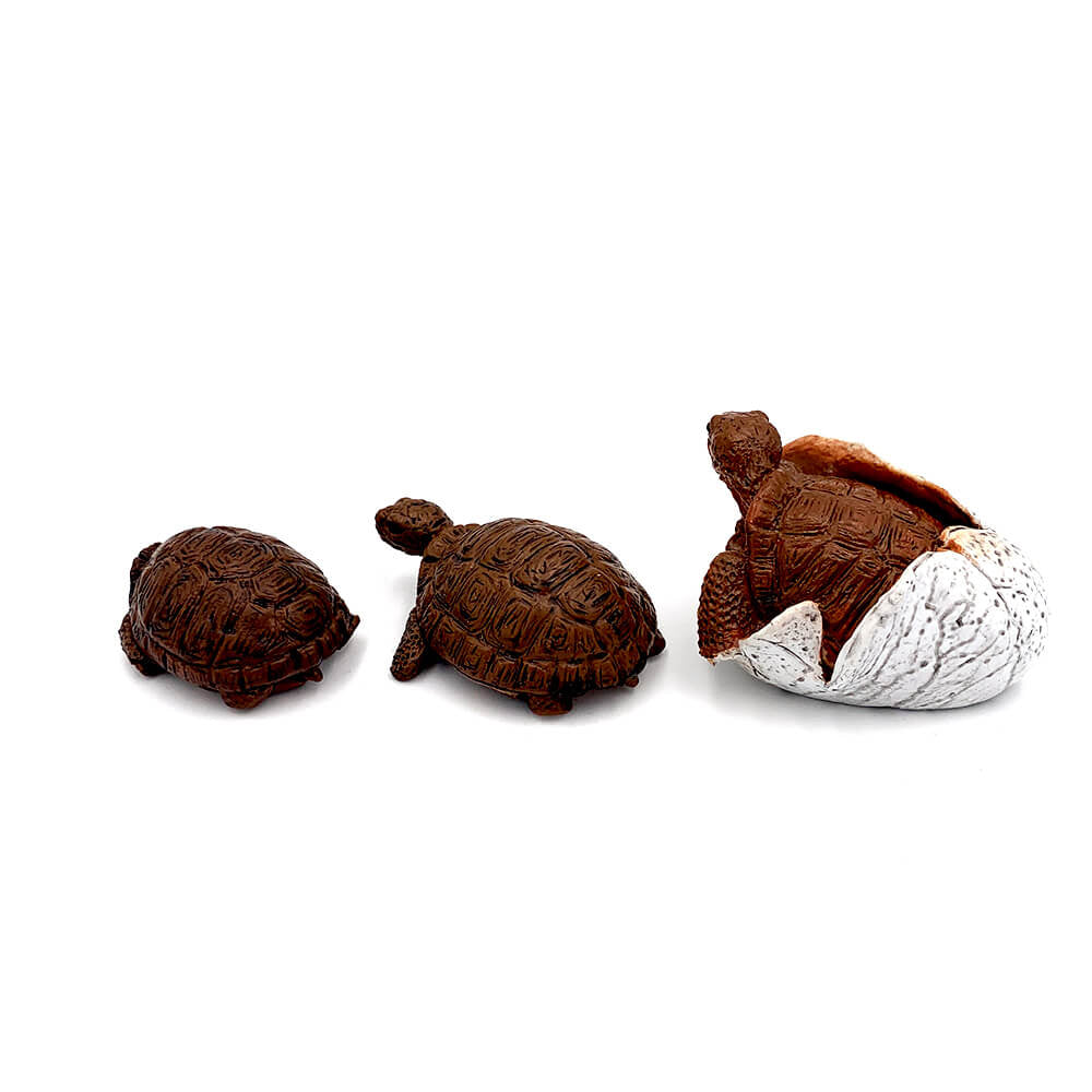 Broasca testoasa pui set 3 figurine