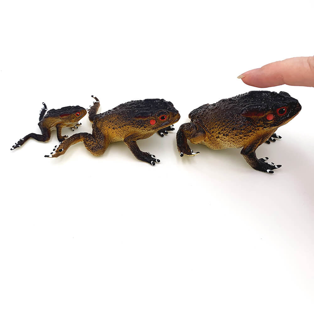 Broscute set 3 figurine