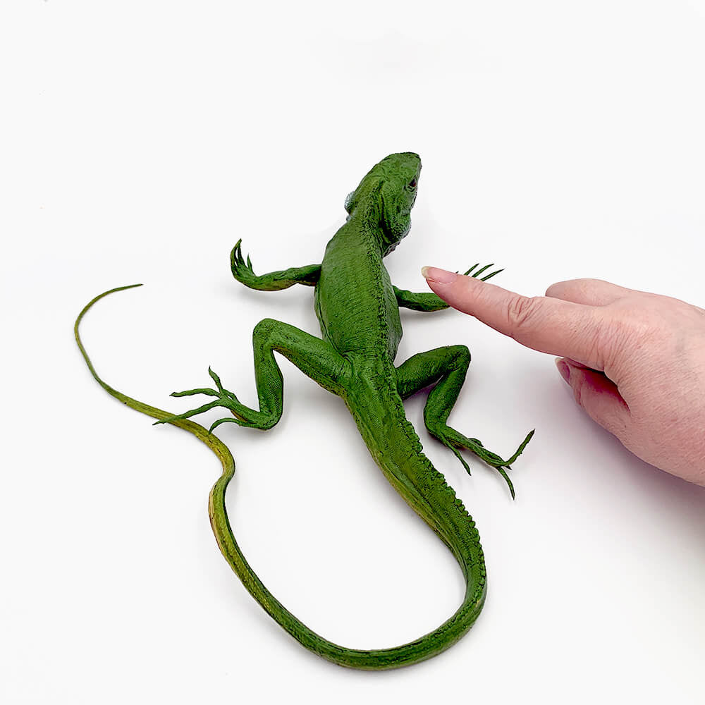 Iguana mare figurina 28 cm
