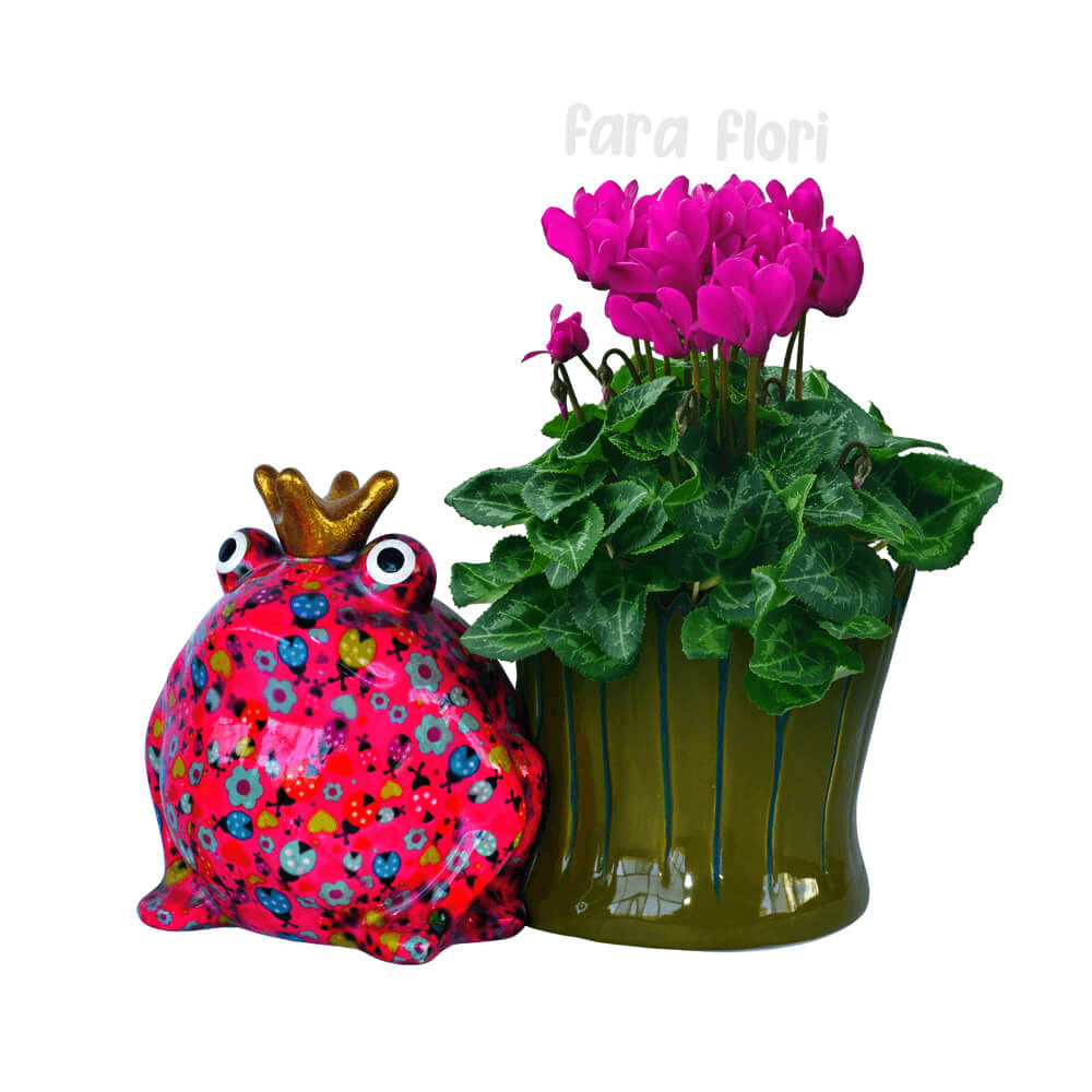 Decoratiune ceramica masca ghiveci Broscuta Freddy h16.8 cm - Nitzi.ro
