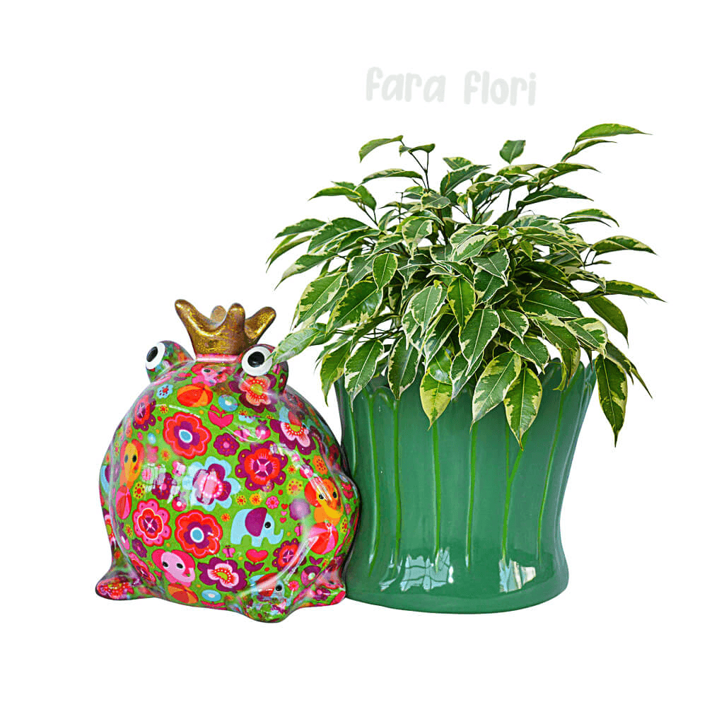 Decoratiune ceramica masca ghiveci Broscuta Freddy h16.8 cm - Nitzi.ro
