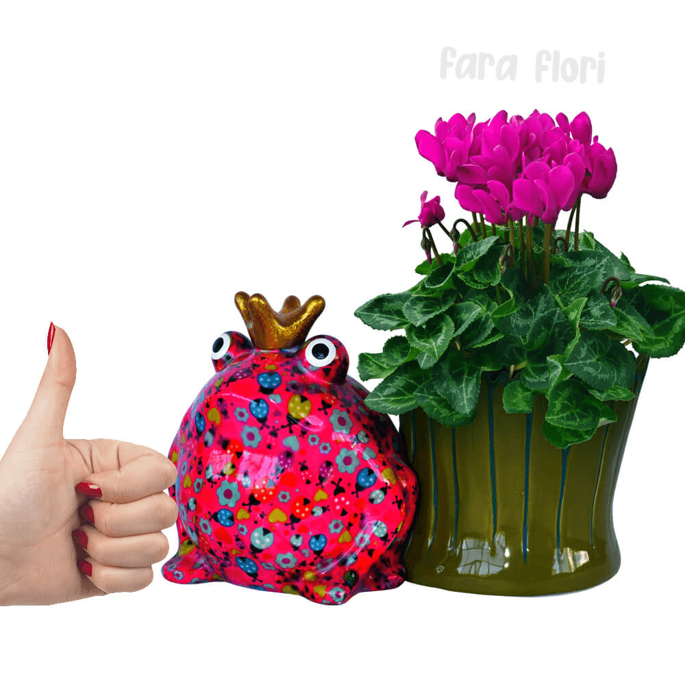 Decoratiune ceramica masca ghiveci Broscuta Freddy h16.8 cm - Nitzi.ro