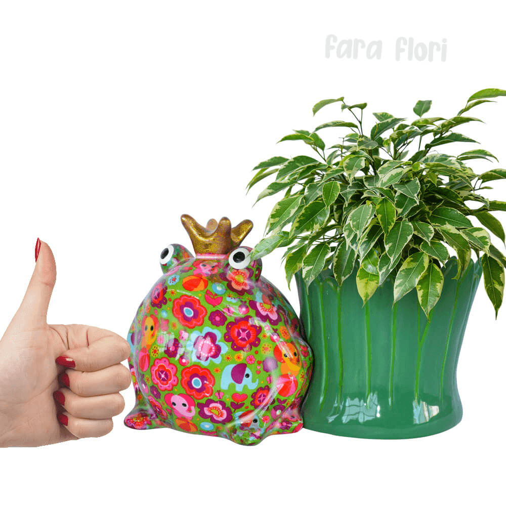 Decoratiune ceramica masca ghiveci Broscuta Freddy h16.8 cm - Nitzi.ro