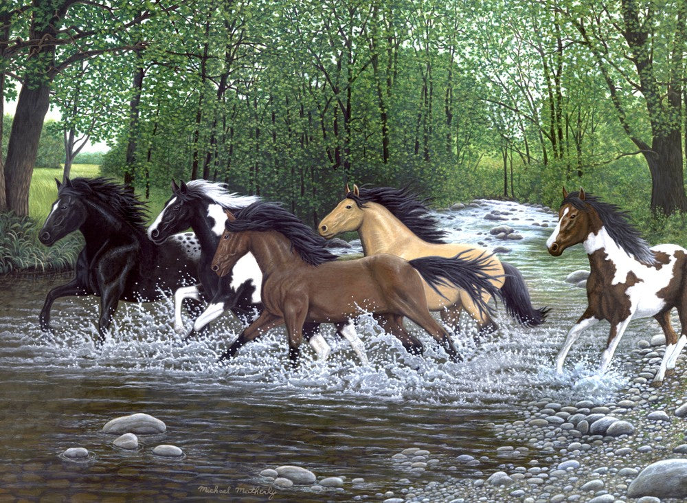Pictura creativa pe numere avansati - Spirit liber
