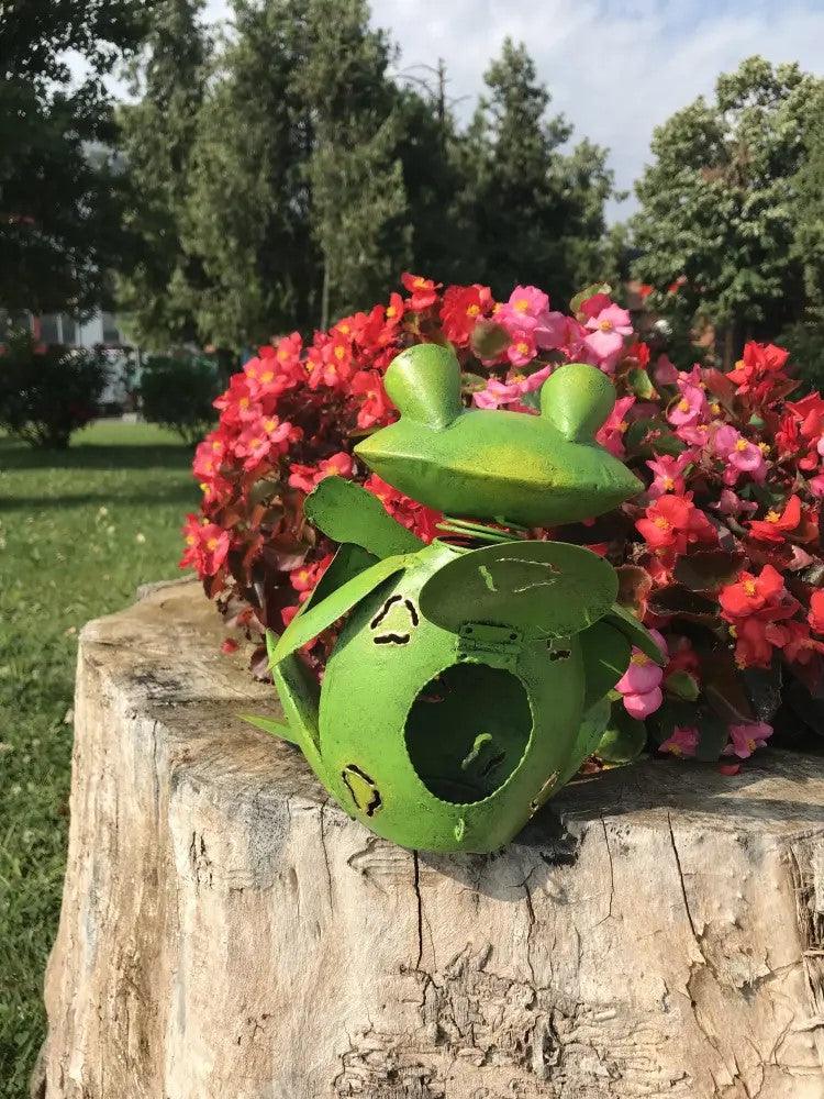 Decoratiune gradina-Broscoi cu chitara