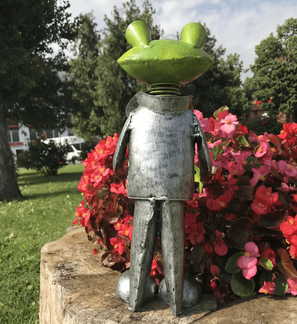 Decoratiune gradina Broscoi in costum - Nitzi.ro