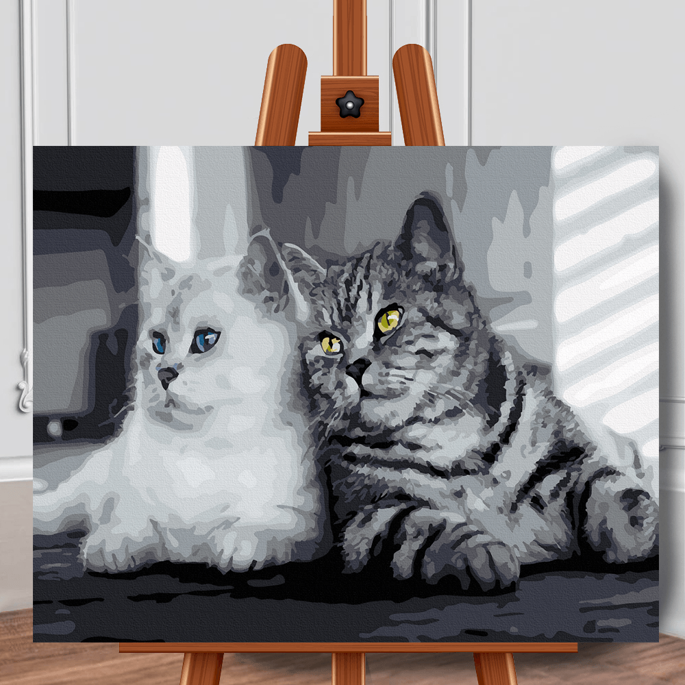 Pictura pe panza cu numere Pisici alb negru 40x50 cm - Nitzi.ro
