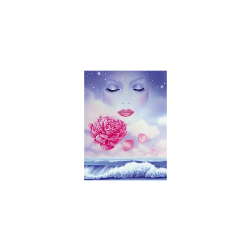 Puzzle Gilda Belin-Momente magice 1000 piese