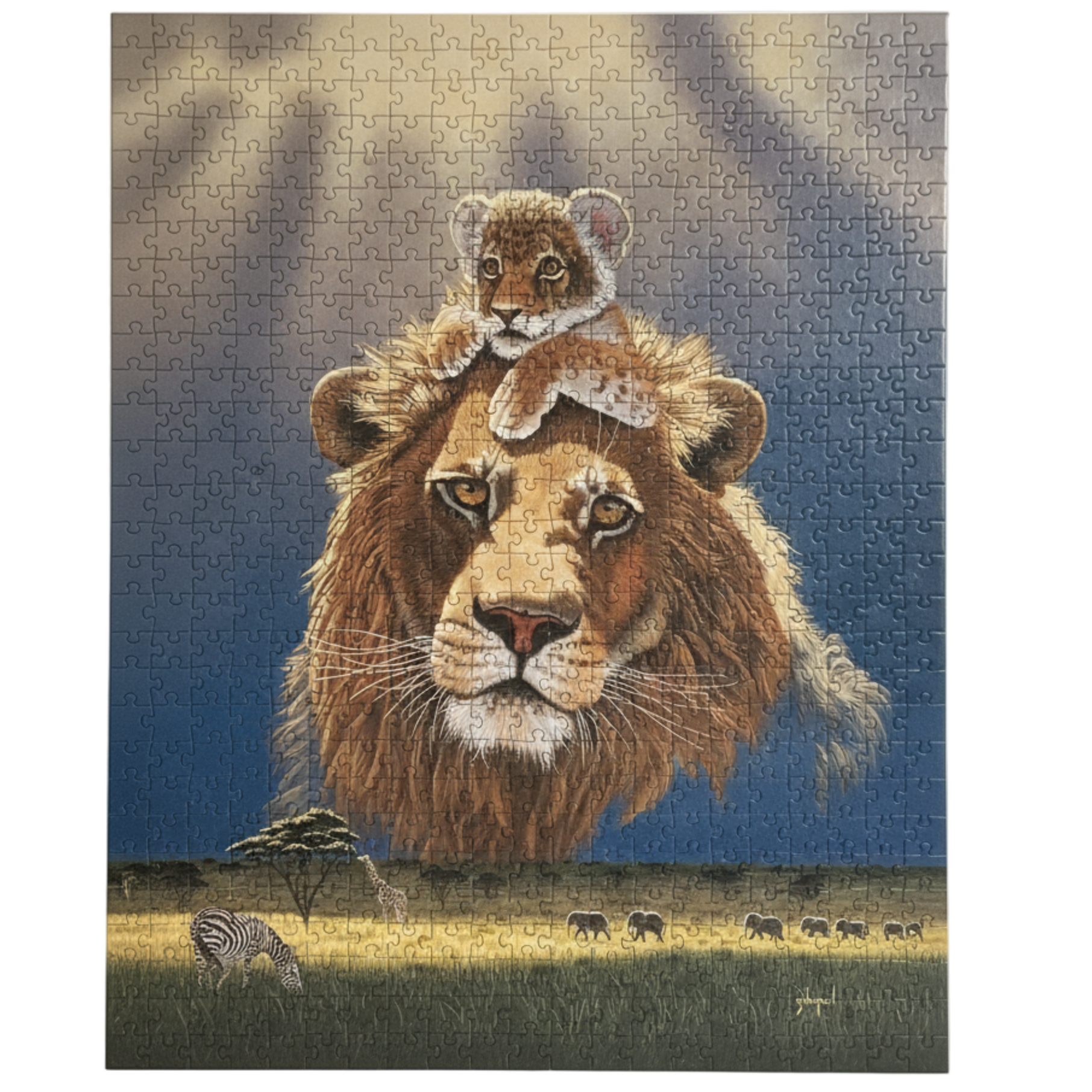 Puzzle Schimmel 1000 piese