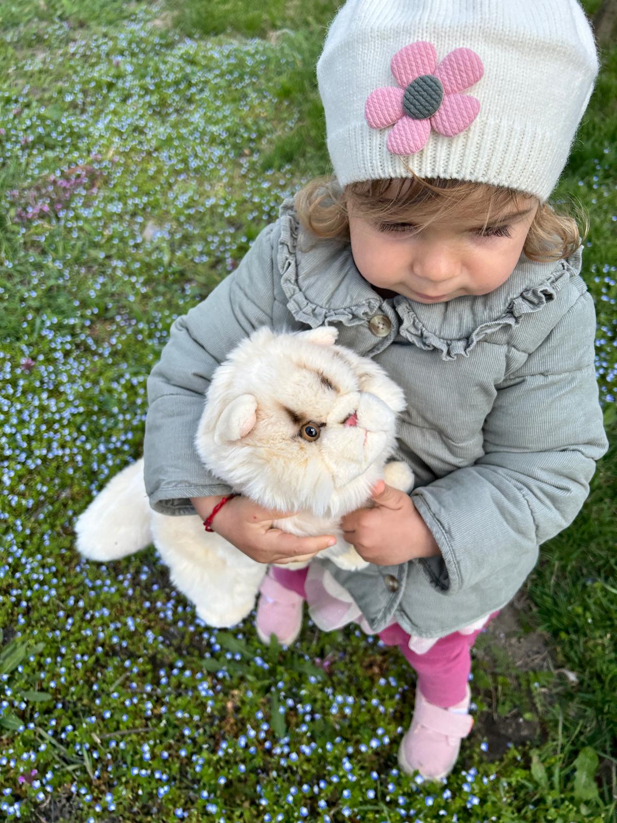 Jucarie plus Pisica Persana 25 cm - Lelly