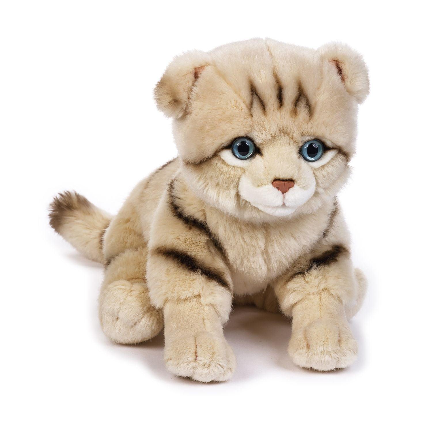 Jucarie plus Pisica Scottish Fold 25 cm - Lelly