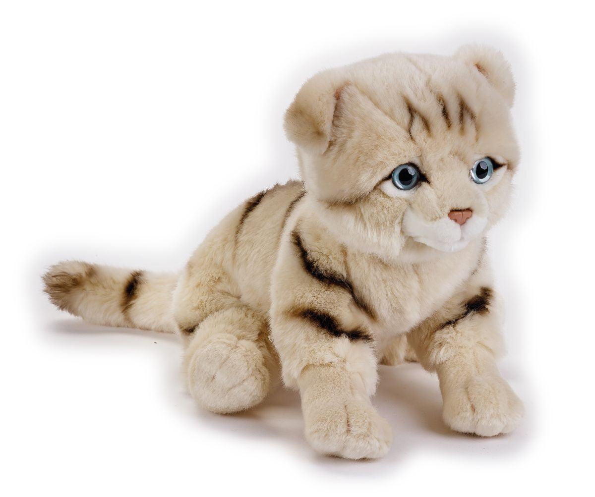 Jucarie plus Pisica Scottish Fold 25 cm - Lelly